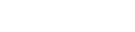 Python Institute